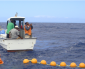CARICOM and Japan celebrate 20 years of cooperation in fisheries