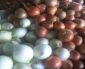 60,000 pounds of onions, mostly from Holland, imported weekly