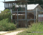 2,680 bullets stolen from BDF compound!