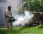 Zika numbers revised: nearly 600 suspected cases