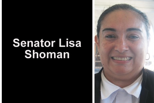 Senator Lisa Shoman copy