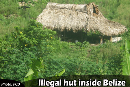 illegal-hut-inside-Belize