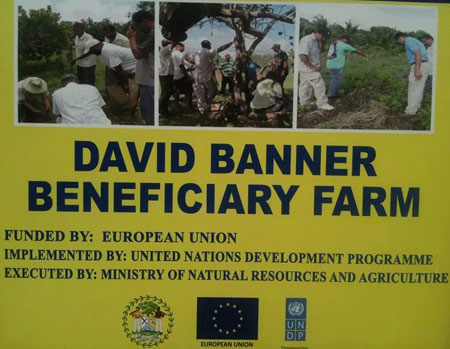 David-Banner-Beneficiary-Fa