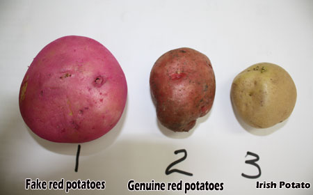 potato-samples