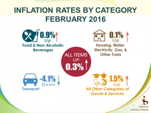 inflation by ca tegory
