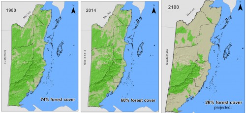 Belize's dwindling forest cover