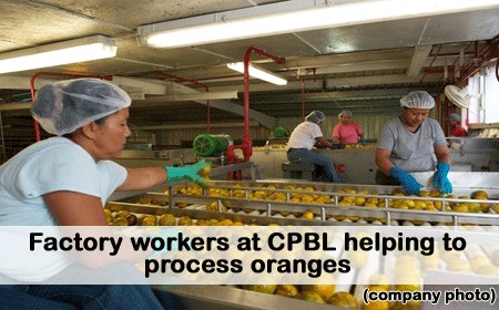Factory-workers-at-CPBL,