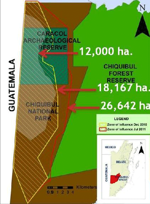 Guat illegal logging - “A time bomb in the Chiquibul!”